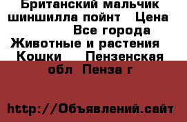 Британский мальчик шиншилла-пойнт › Цена ­ 5 000 - Все города Животные и растения » Кошки   . Пензенская обл.,Пенза г.